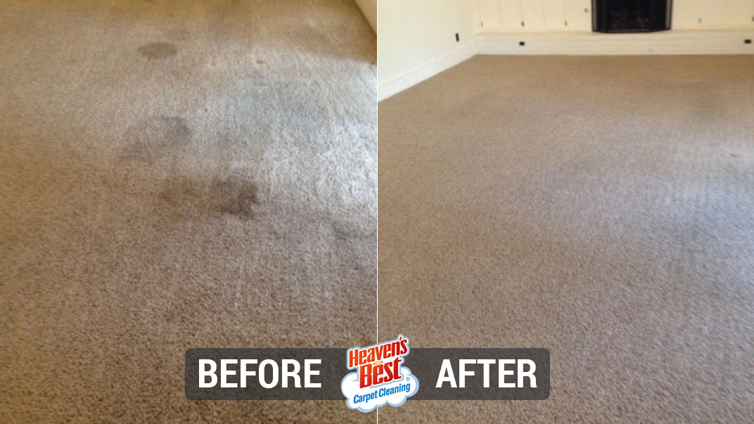 Heaven's Best Carpet Cleaning of Hastings