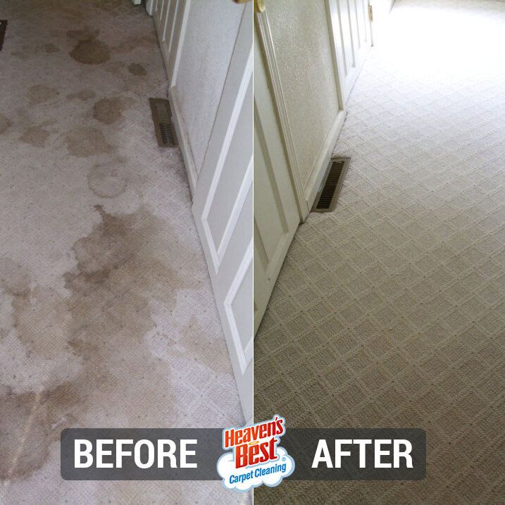 Heaven's Best Carpet Cleaning of Hastings